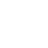 Play Icon