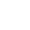Play Icon